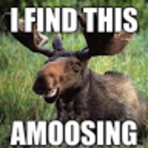 Meet your Posher, Annarose